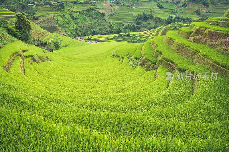 美丽的风景，绿色的稻田准备在越南西北部的梯田日落山在木仓寨，Yen Bai，越南